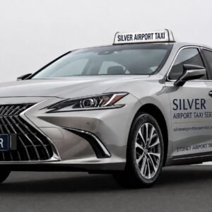 Standard Hybrid Taxi Sedan